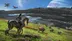 اکانت قانونی Avatar: Frontiers of Pandora برای PS5